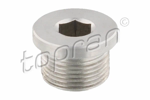 Screw Plug, transmission housing 115 364