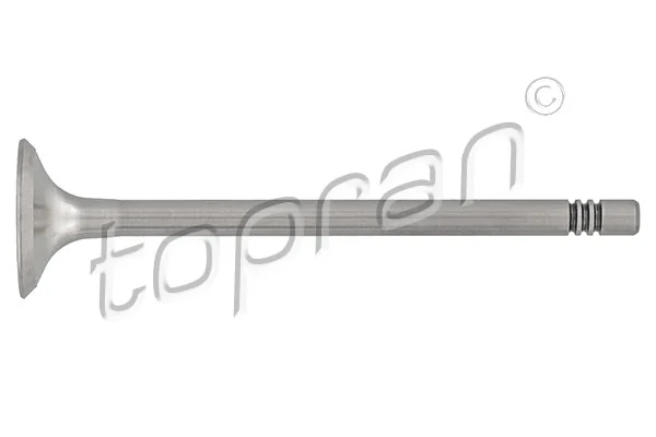 Exhaust Valve 108 021