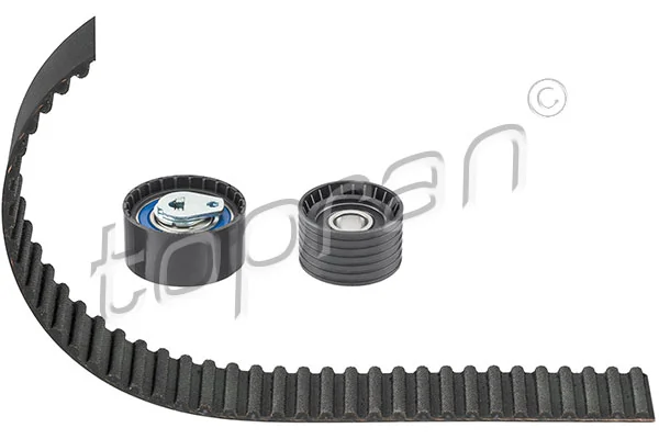 Timing Belt Kit 701 063