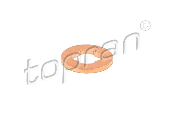 Heat Shield, injection system 305 021