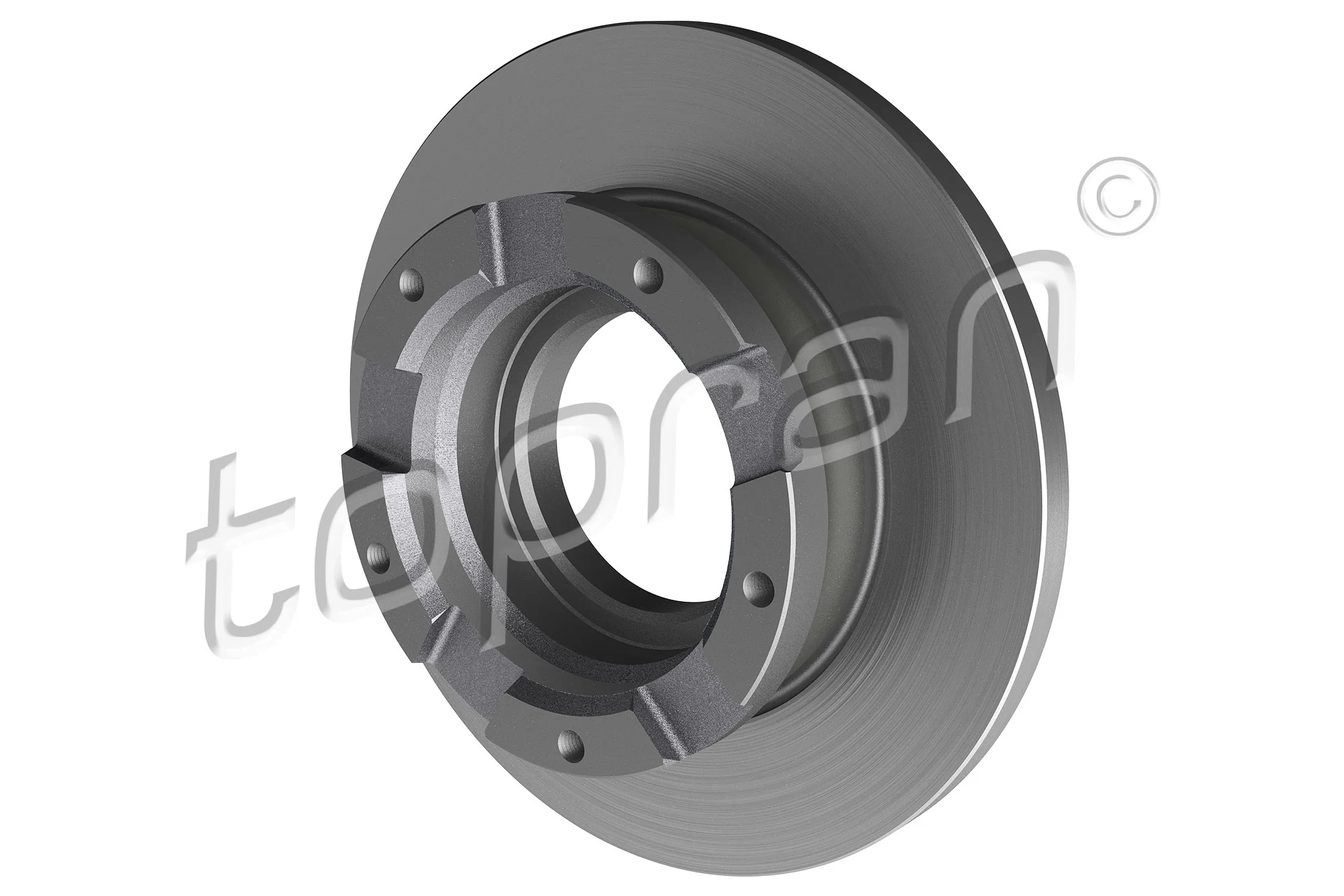 Brake Disc 303 971