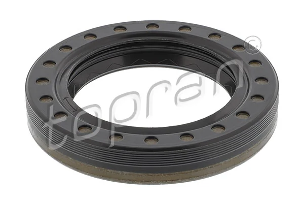 Shaft Seal, differential 100 354