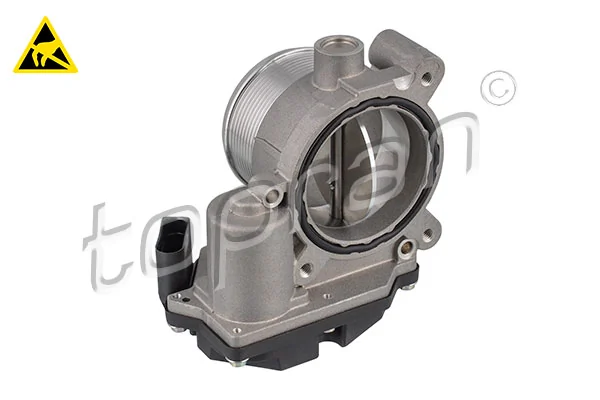 Throttle Body 117 306