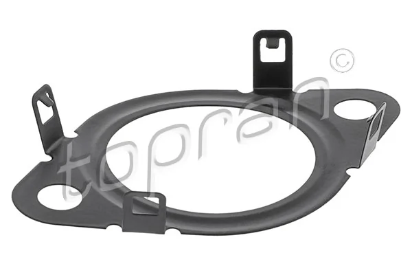 Gasket, EGR valve 601 396