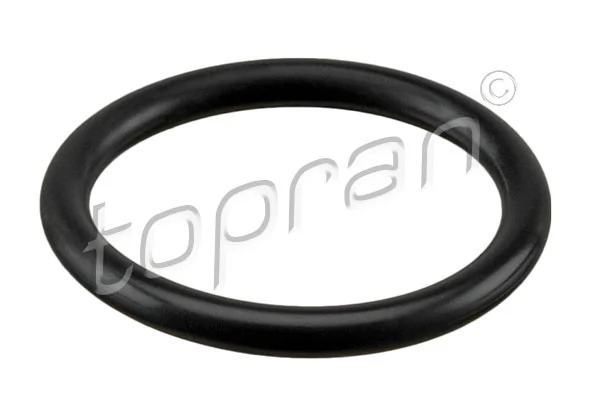 Seal Ring, coolant pipe 114 297