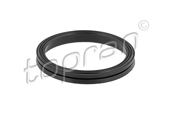 Gasket, timing case 628 304