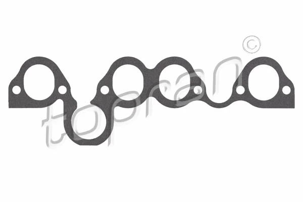 Gasket, intake manifold 100 223