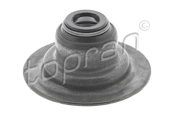 Seal Ring, valve stem 300 524