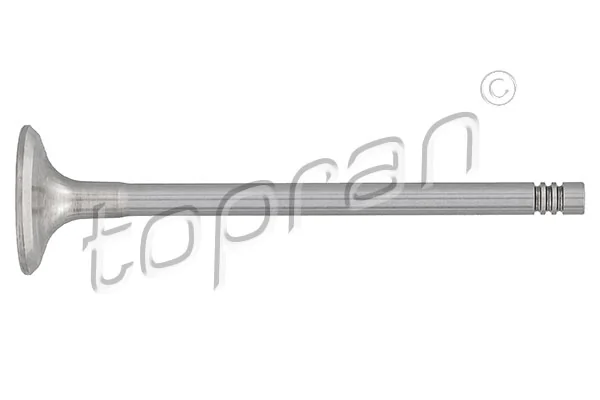 Exhaust Valve 205 157