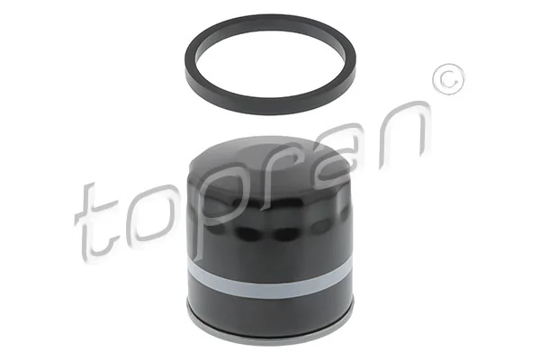 Oil Filter 201 305