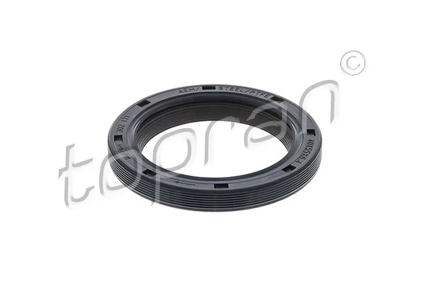 Shaft Seal, crankshaft 302 171
