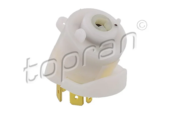 Ignition Switch 101 895