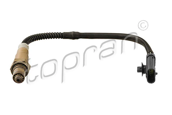 Oxygen Sensor 701 084