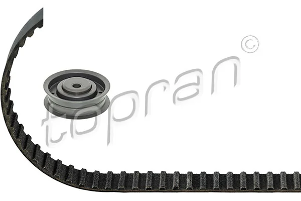 Timing Belt Kit 101 059