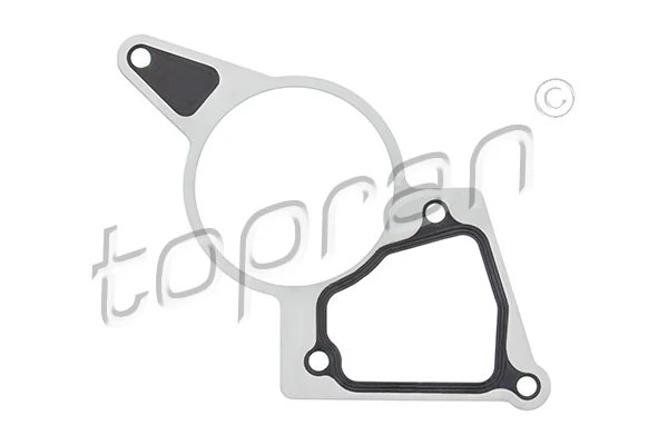 Gasket, vacuum pump 305 116