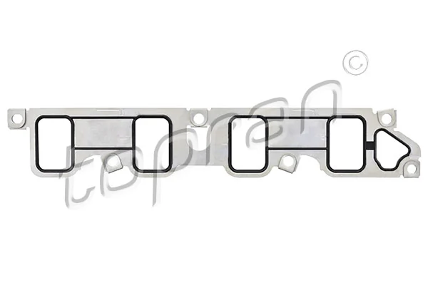 Gasket, intake manifold 302 550