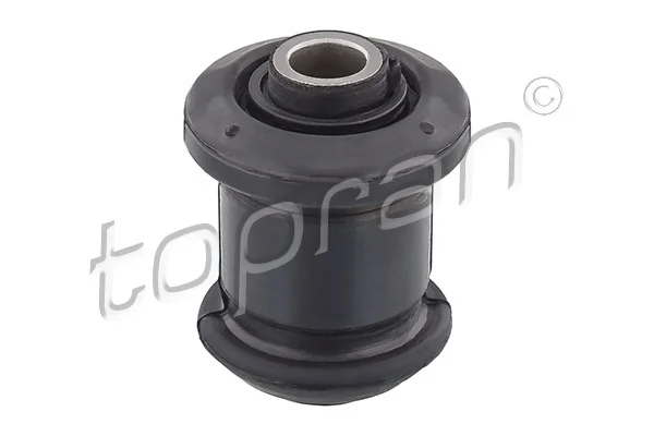 Mounting, control/trailing arm 200 494