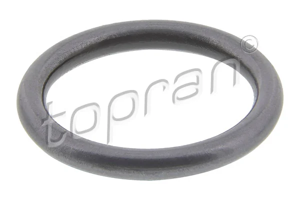 Seal Ring, injector 100 678
