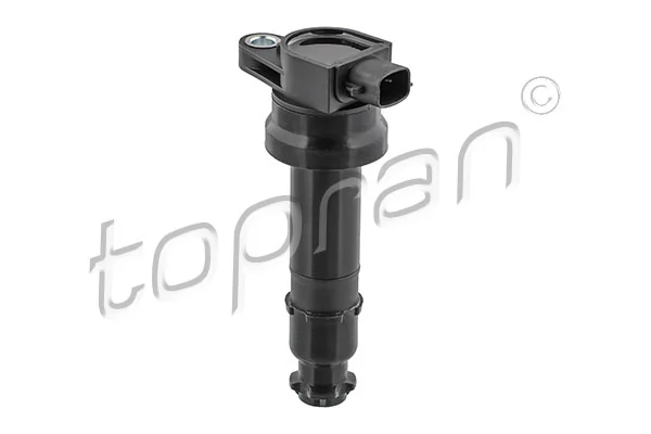 Ignition Coil 821 429