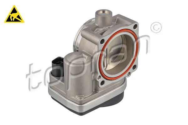 Throttle Body 503 134