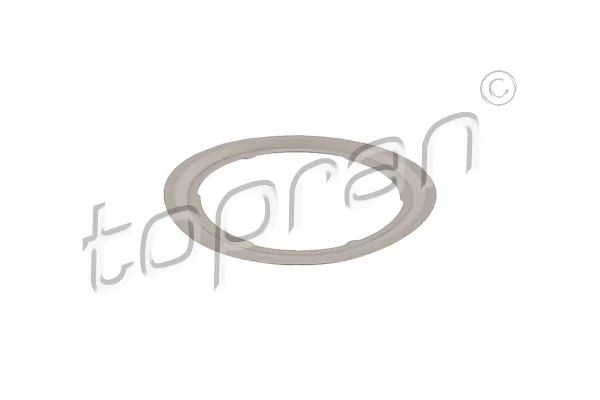 Gasket, EGR valve 305 143
