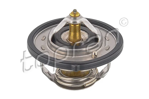 Thermostat, coolant 820 596