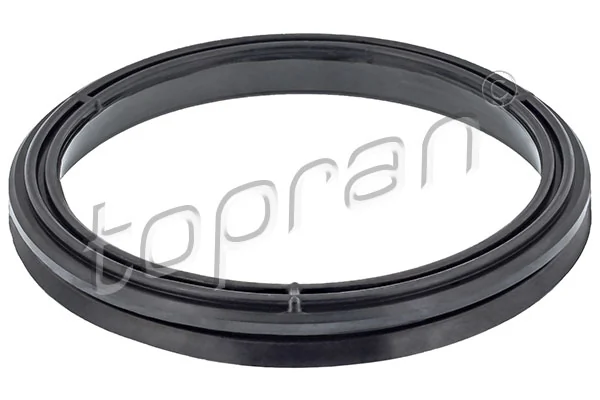 Gasket, timing case 114 961