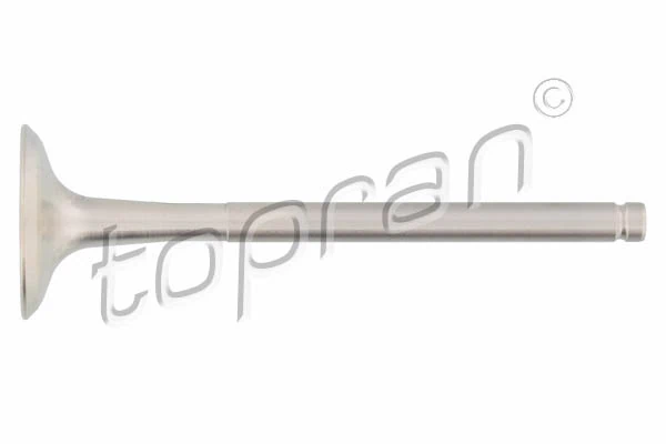 Exhaust Valve 700 656