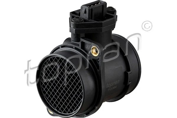Mass Air Flow Sensor 113 894