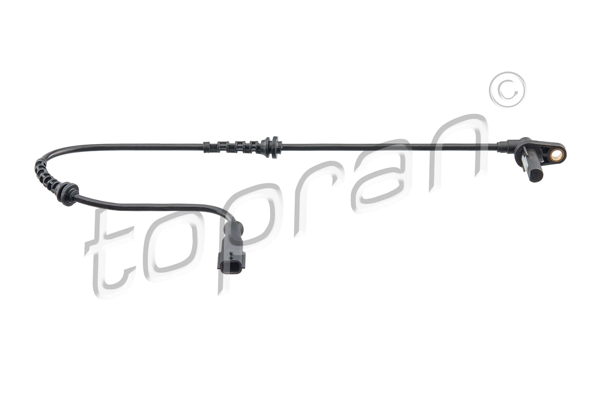 Sensor, wheel speed 701 984