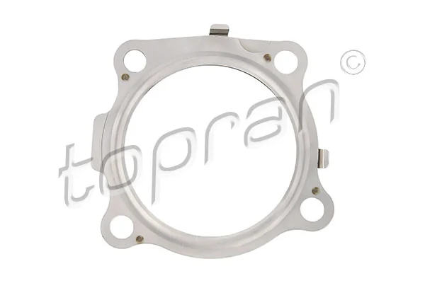 Gasket, exhaust pipe 305 093