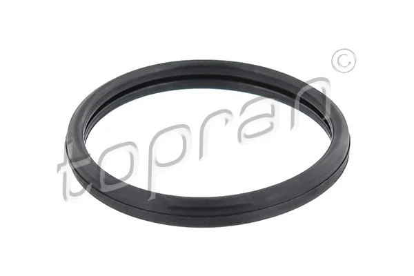 Seal, thermostat 302 262