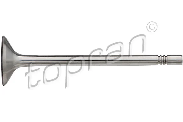 Intake Valve 112 933