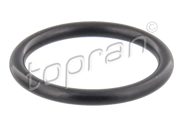 Seal Ring, oil drain plug 304 785