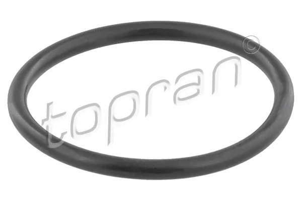 Gasket, coolant flange 104 505