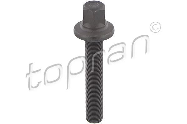Pulley Bolt 503 131