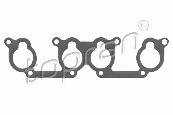Gasket, intake manifold 100 724