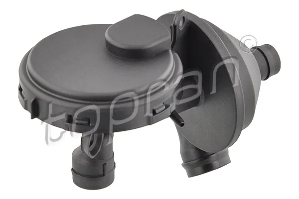 Valve, crankcase ventilation 501 413