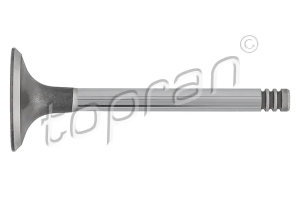Intake Valve 101 516