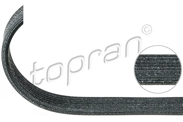 V-Ribbed Belt 100 124
