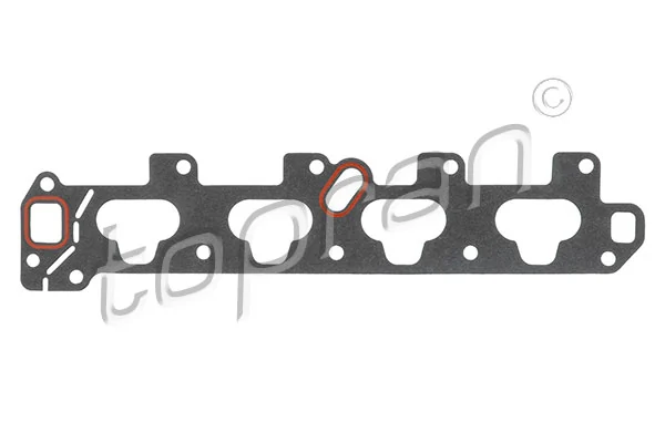Gasket, intake manifold 205 862