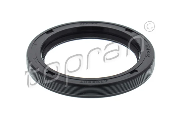 Shaft Seal, crankshaft 301 065