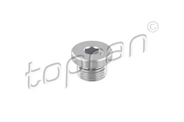 Screw Plug, transmission housing 503 554