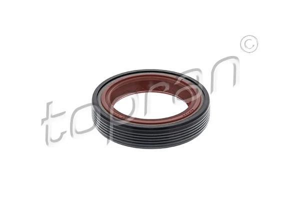 Shaft Seal, crankshaft 109 889