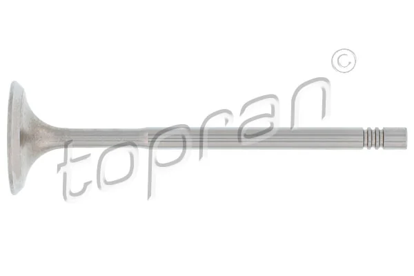 Intake Valve 108 017