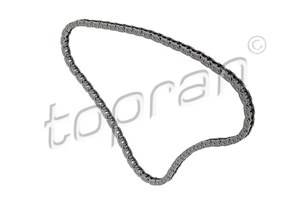 Timing Chain 117 863