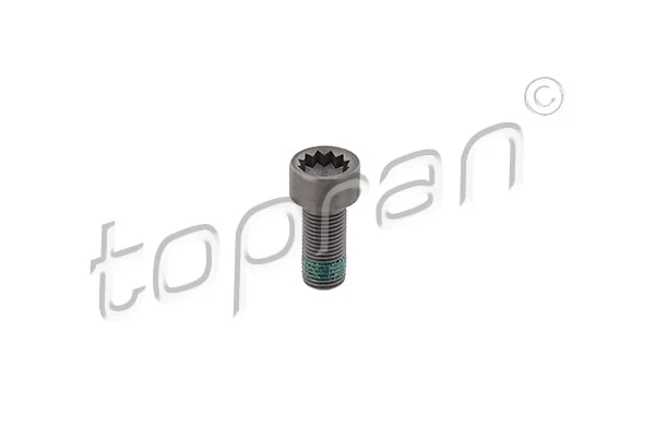 Flywheel Bolt 117 243