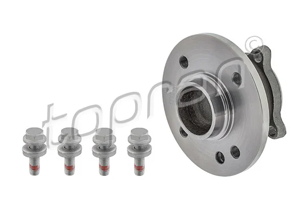 Wheel Bearing Kit 501 019
