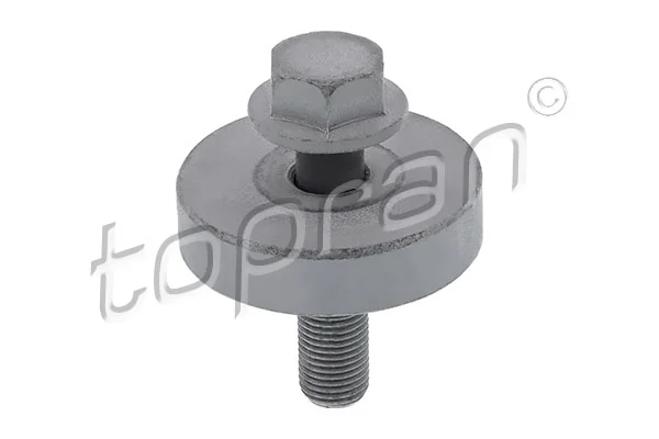 Pulley Bolt 701 616