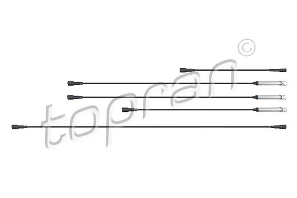 Ignition Cable Kit 202 517